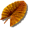 Leaf Picture